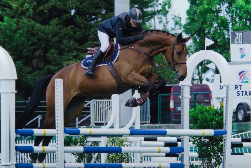 Bel Air Equestrian Center 1
